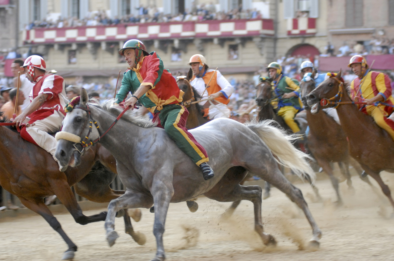 Palio - Gallery Image #246
